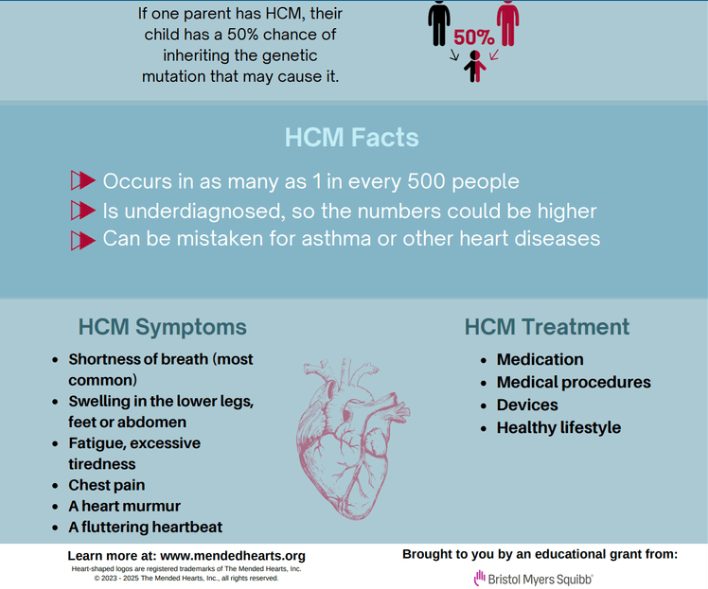 HCM Infographic preview